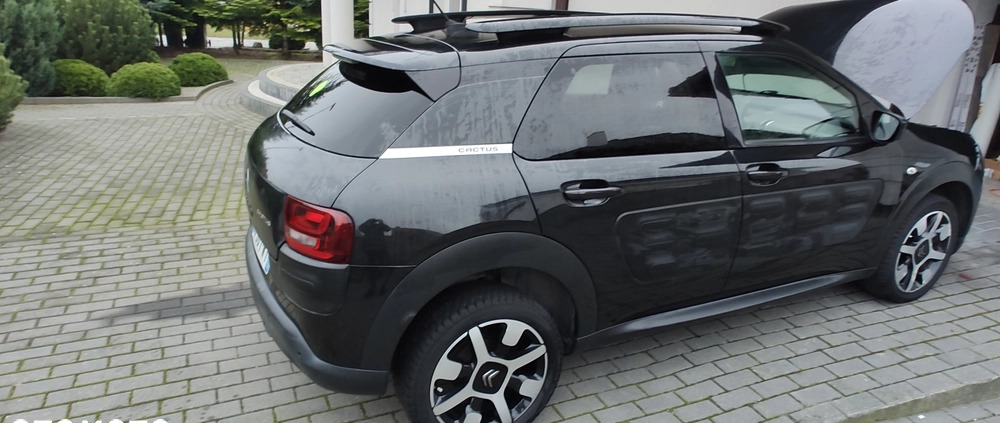 Citroen C4 Cactus cena 24250 przebieg: 219966, rok produkcji 2016 z Brok małe 407